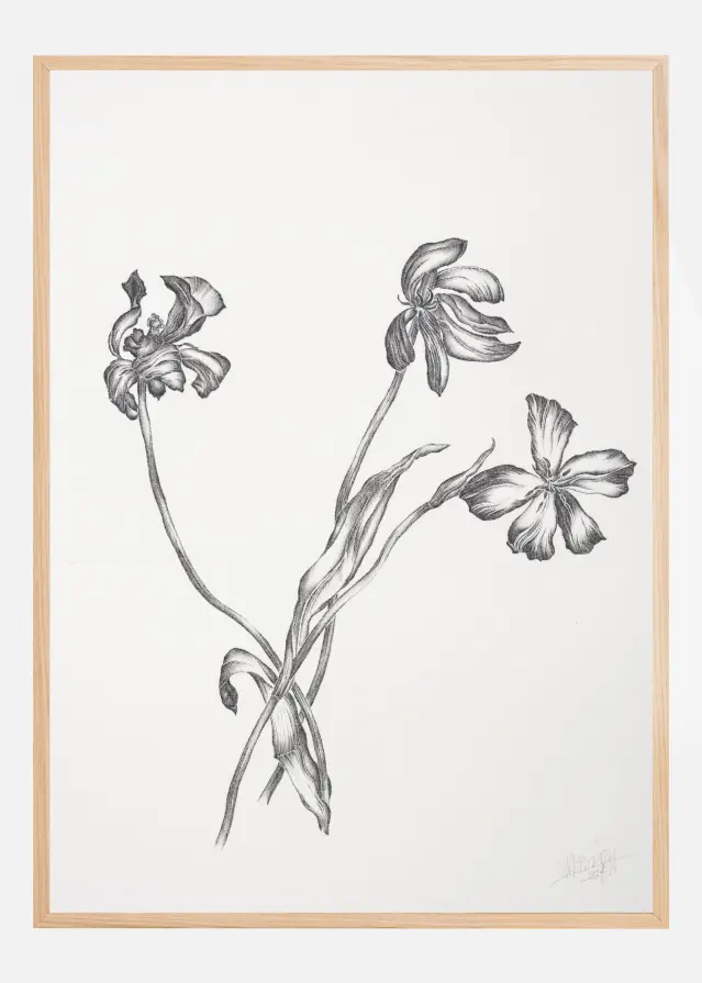 Where Have All the Flowers Gone VI Αφίσα