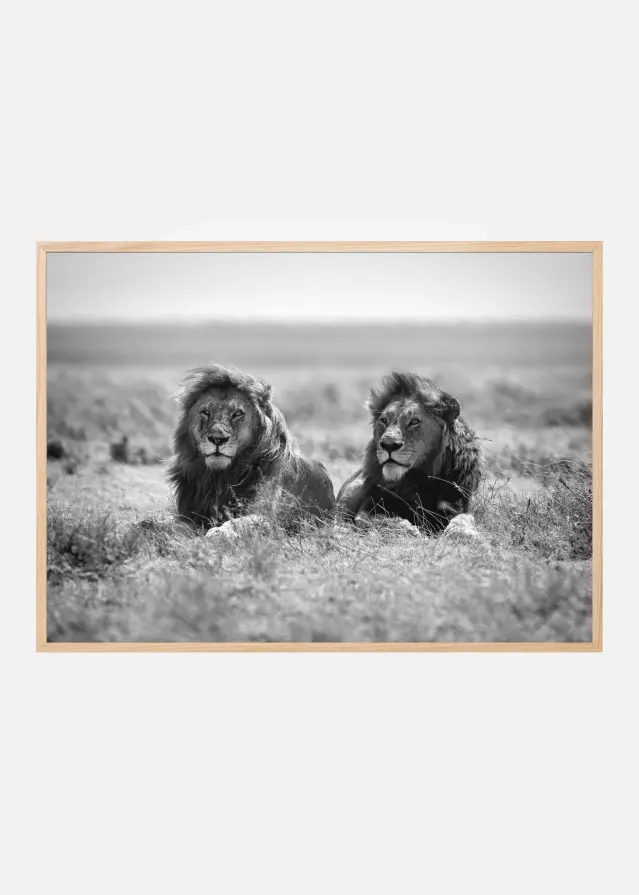 Two kings Αφίσα