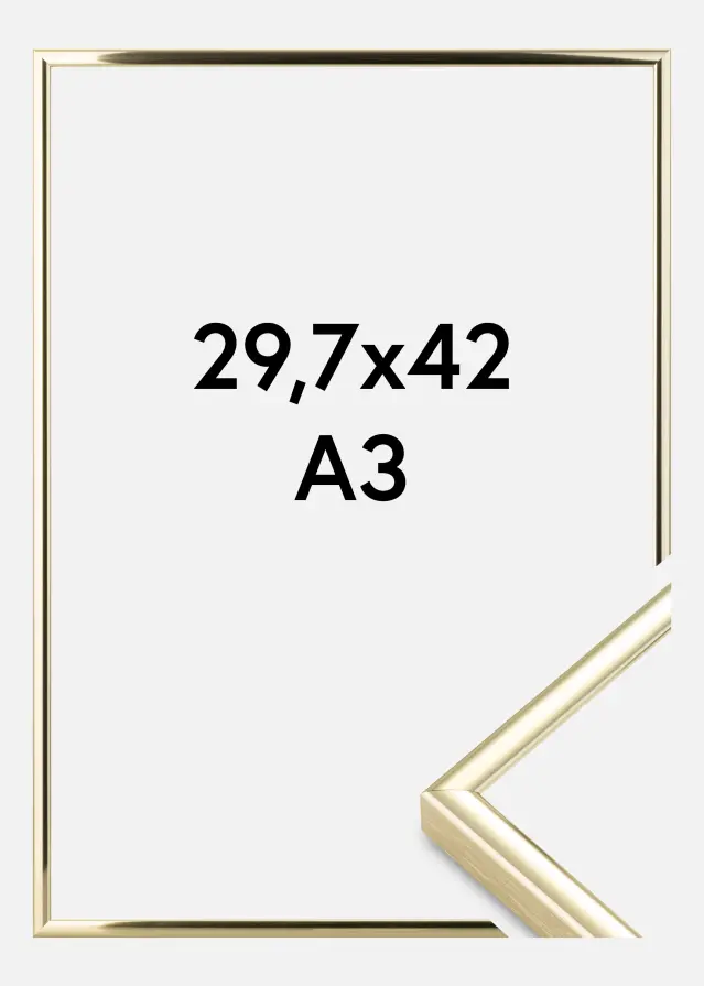 Πλαίσιο Nielsen Premium Classic Χρυσός 29,7x42 cm (A3)