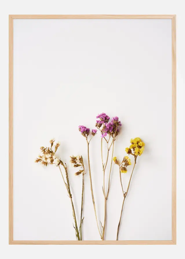 Dried flowers I Αφίσα