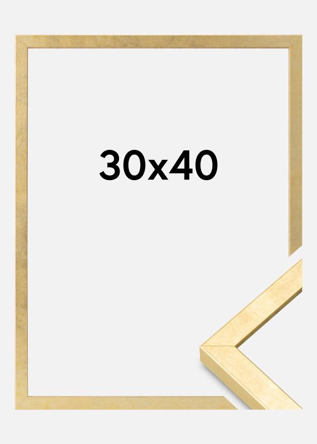 Πλαίσιο Ares Ακρυλικό γυαλί Χρυσός 30x40 cm