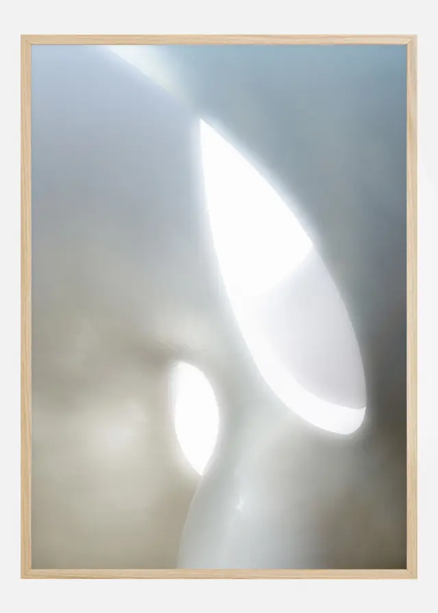 Organic Shapes Αφίσα