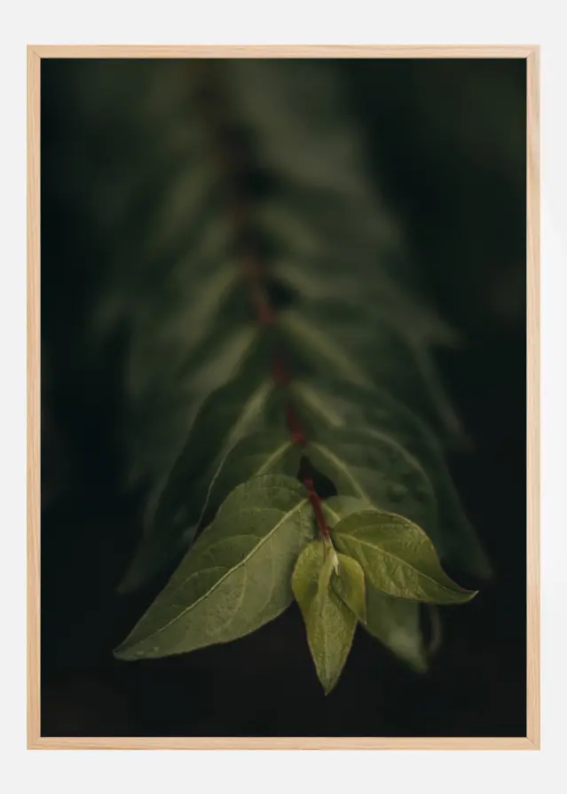 Blurry Branch Αφίσα