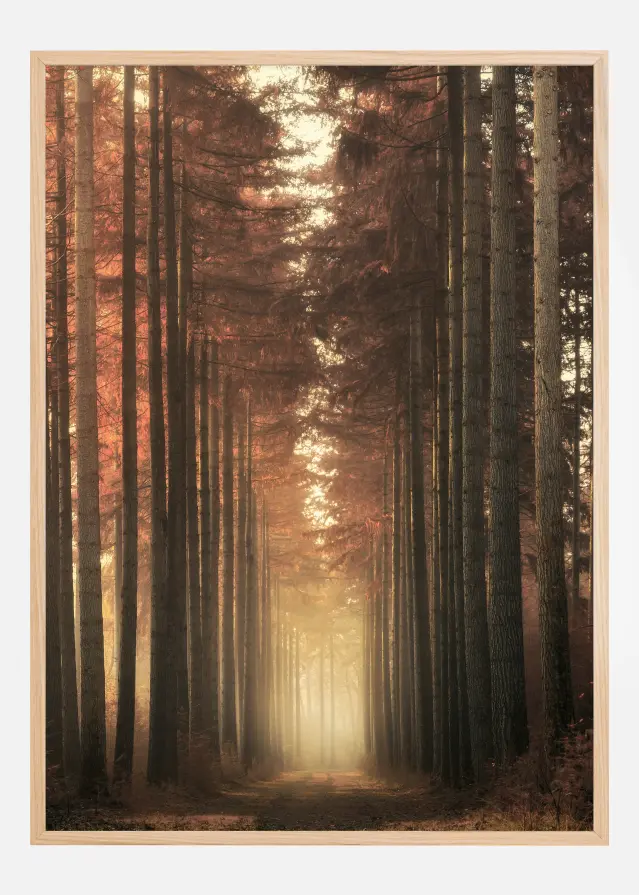 Light Burning Αφίσα