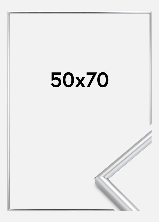 Πλαίσιο Galeria Ασημί 50x70 cm