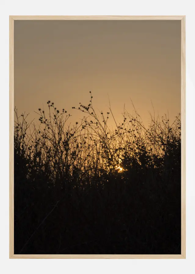 Sneak Peak On Sun Αφίσα