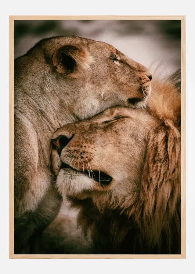 What Is Love Αφίσα