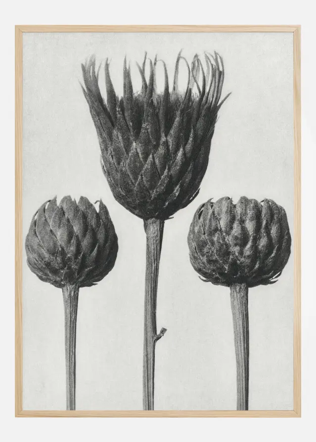 Grey Flower IV Αφίσα