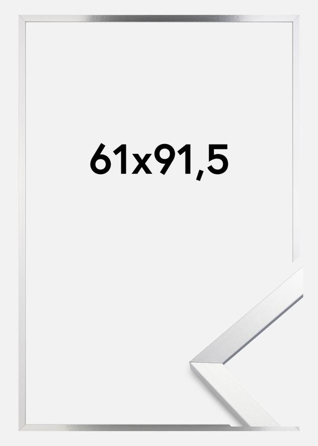 Πλαίσιο Trendy Ακρυλικό γυαλί Ασήμι 61x91,5 cm