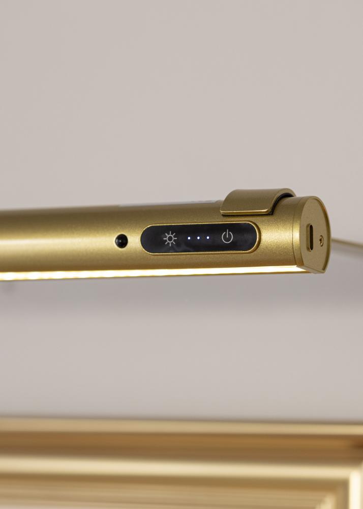 KAILA Brilliance Μπαταριοκίνητος Φωτισμός Πίνακα 80 cm - Χρυσό