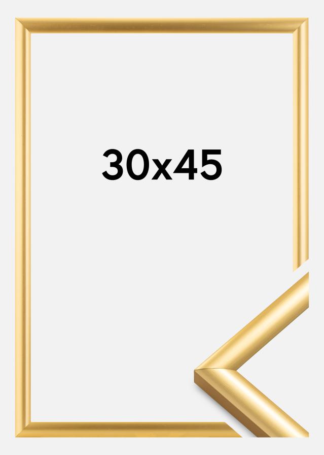 Πλαίσιο Trendstyle Χρυσός 30x45 cm