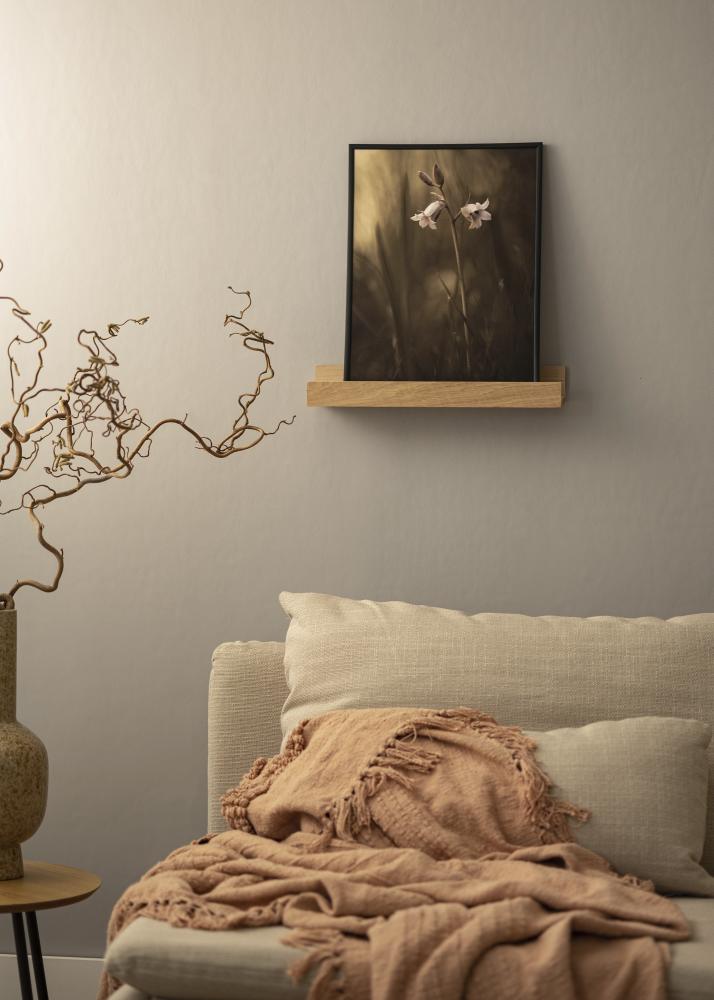 KAILA Ράφι για Καδράκια Δρύς 40 cm