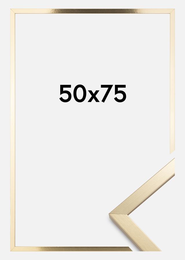 Πλαίσιο Trendy Ακρυλικό γυαλί Χρυσός 50x75 cm