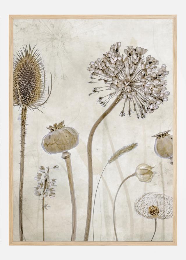 Growing Old Αφίσα