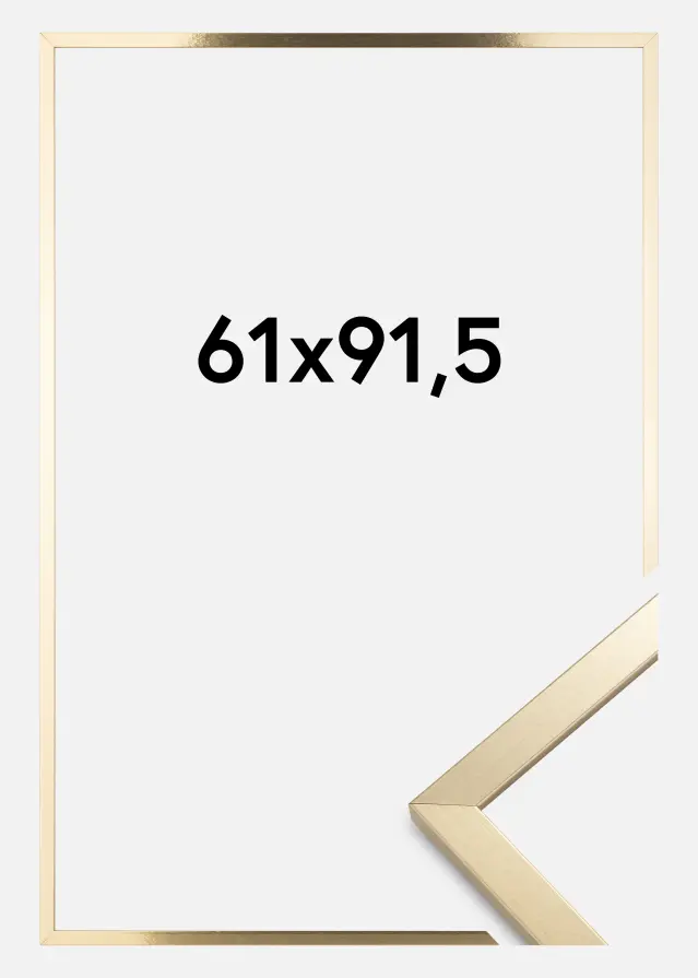 Πλαίσιο Trendy Ακρυλικό γυαλί Χρυσός 61x91,5 cm