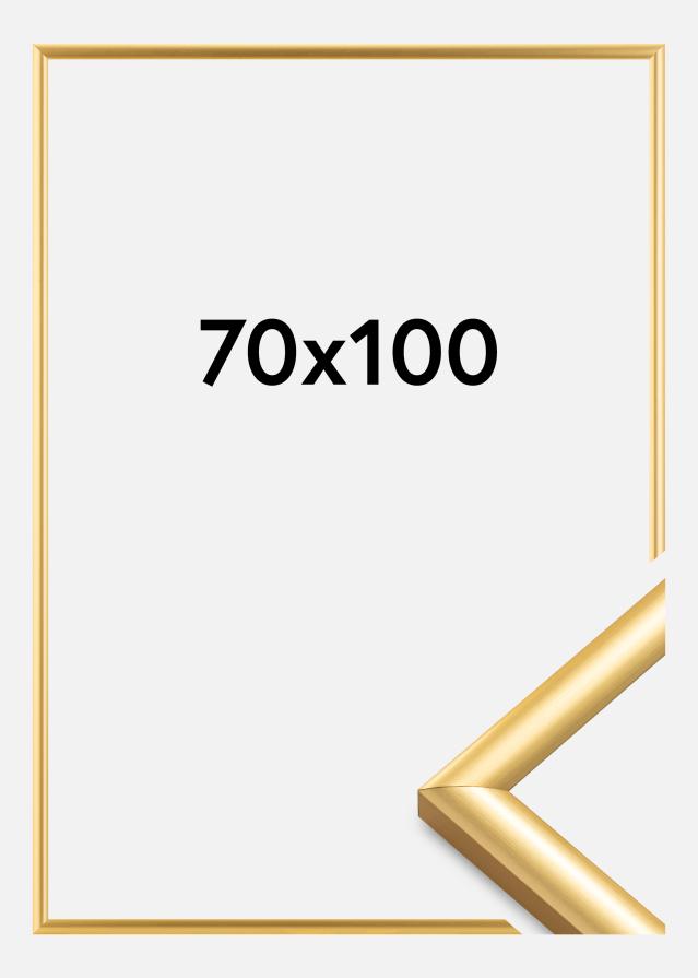 Πλαίσιο Trendstyle Χρυσός 70x100 cm