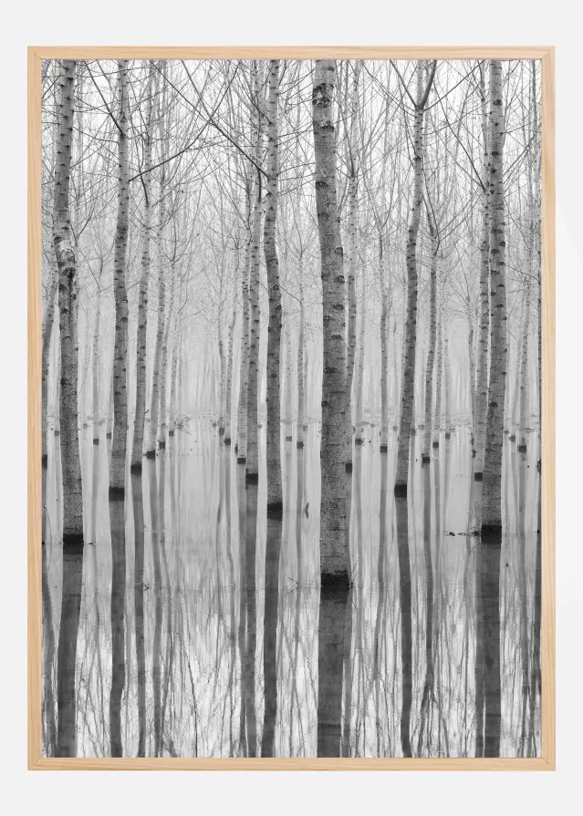 Novembre 2014 Αφίσα