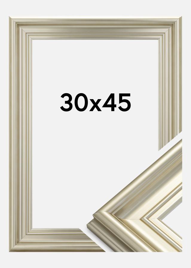 Πλαίσιο Mora Premium Ασημί 30x45 cm