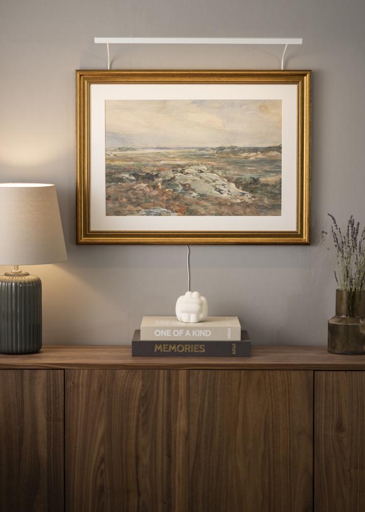 BLP 117 Φωτισμός πίνακα 65 cm - Λευκό