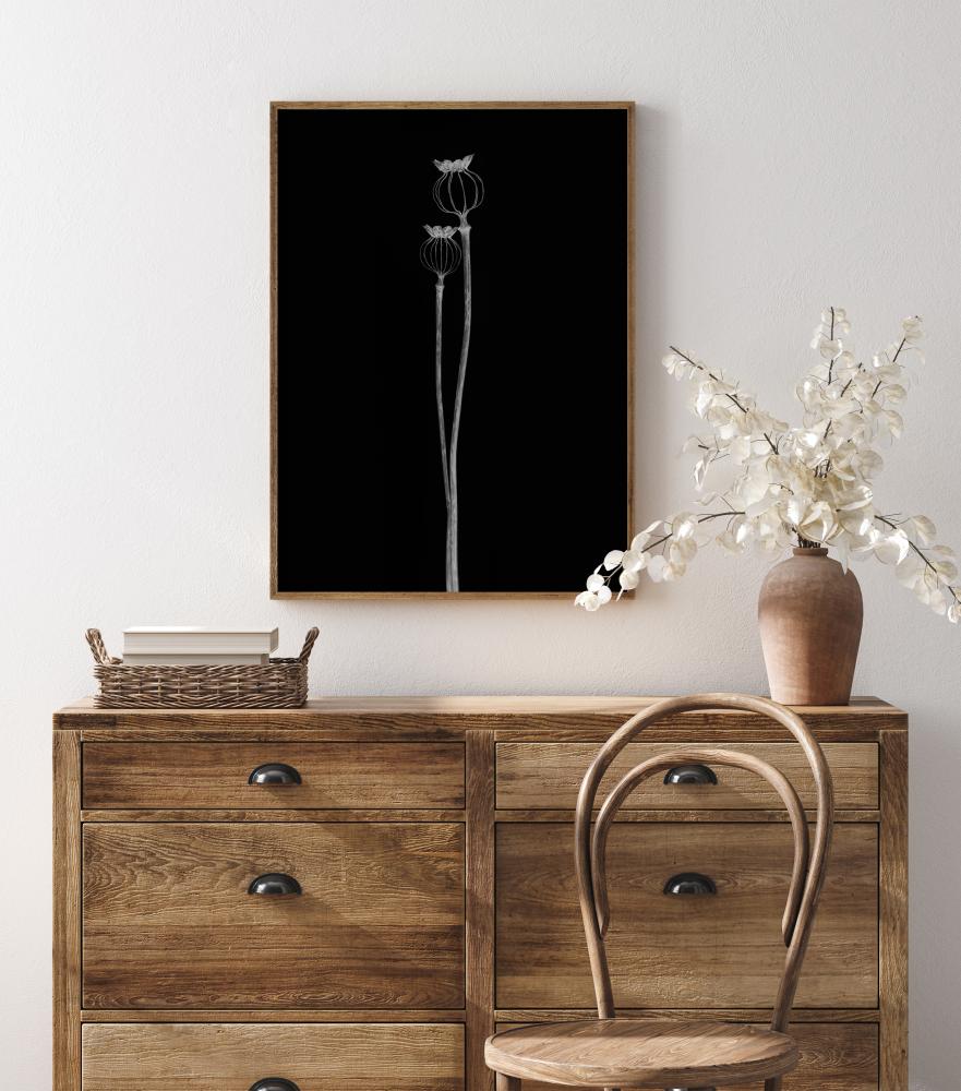 Poppy Pods Αφίσα