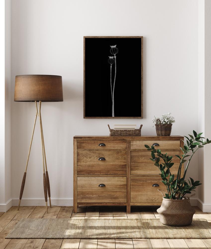 Poppy Pods Αφίσα