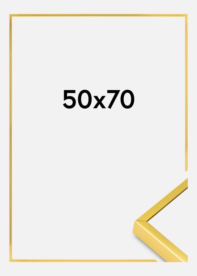 Αλουμινένια κορνίζα Ακρυλικό γυαλί Χρυσός 50x70 cm