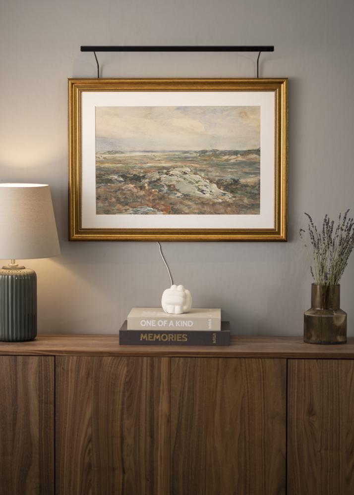 BLP 117 Φωτισμός πίνακα 65 cm - Μαύρος