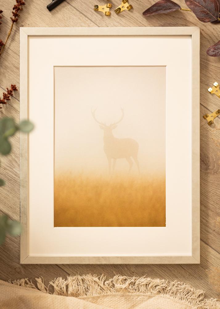 Πλαίσιο Ares Ακρυλικό γυαλί Ασημί 20x30 cm