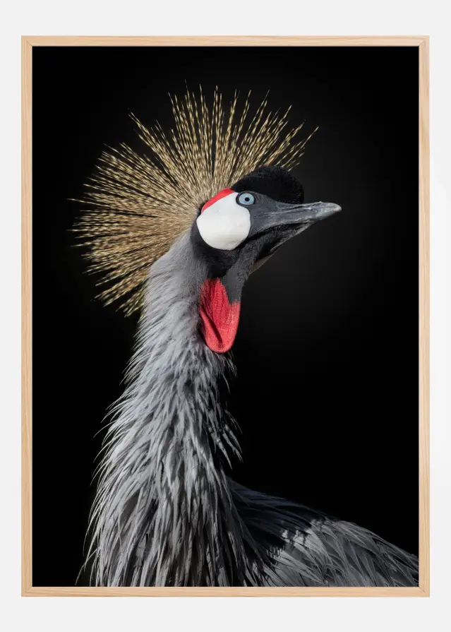 The Queen Αφίσα