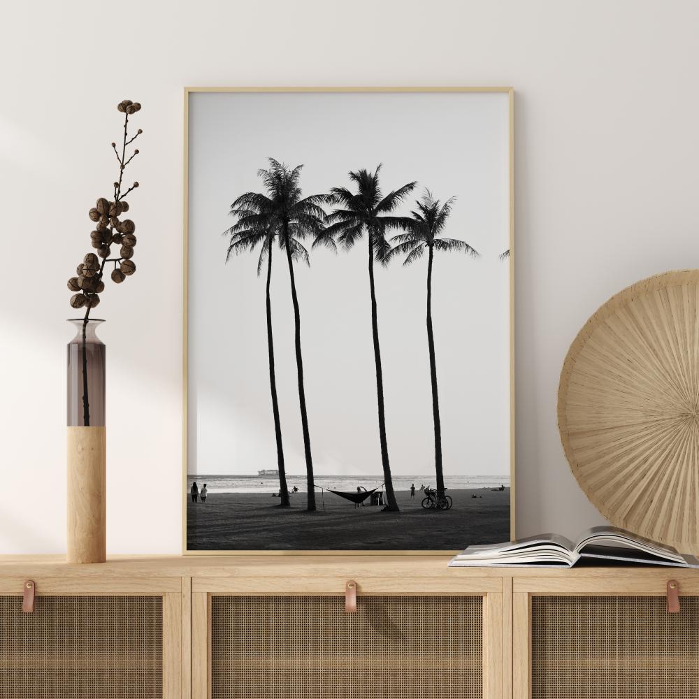 Black And White Palm Trees Αφίσα