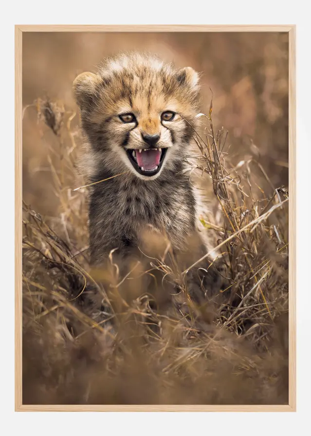 Big Smile Αφίσα