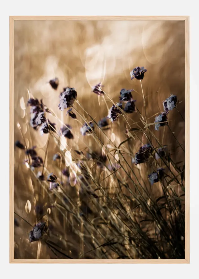 To Be Free In Light Αφίσα