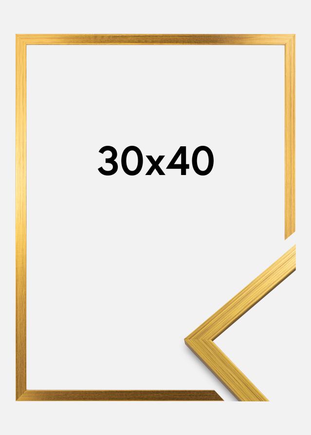Πλαίσιο Edsbyn Ακρυλικό γυαλί Χρυσός 30x40 cm