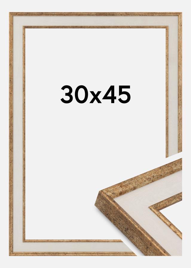 Πλαίσιο Dolly Ακρυλικό γυαλί Χρυσός 30x45 cm