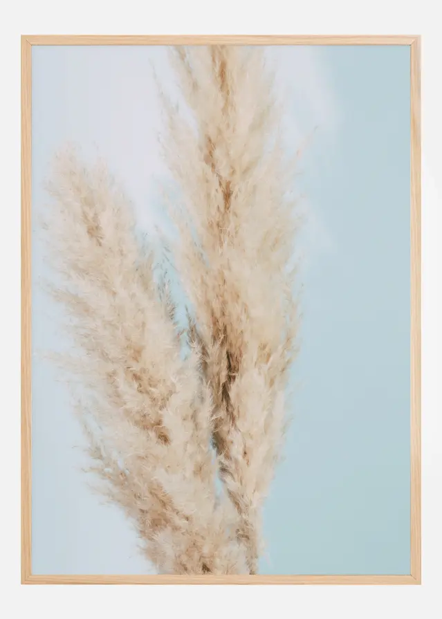 Pampas Grass Blue Αφίσα