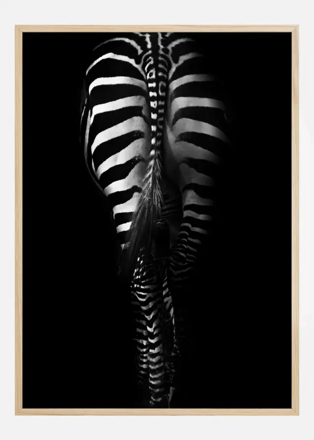Zebra Tail Αφίσα