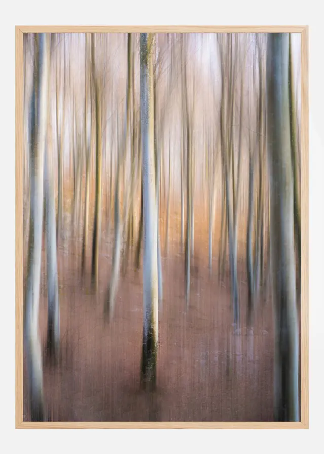 Magic Woodland Αφίσα