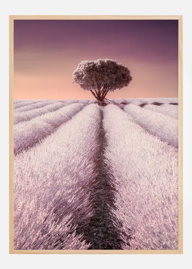 El solitario Αφίσα