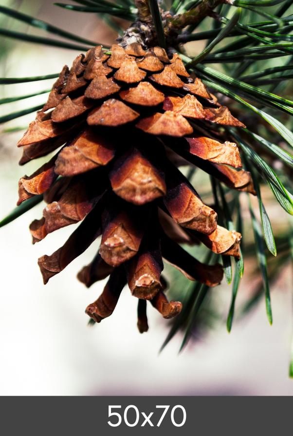 μεγέθυνση FineArt Bamboo 290 g