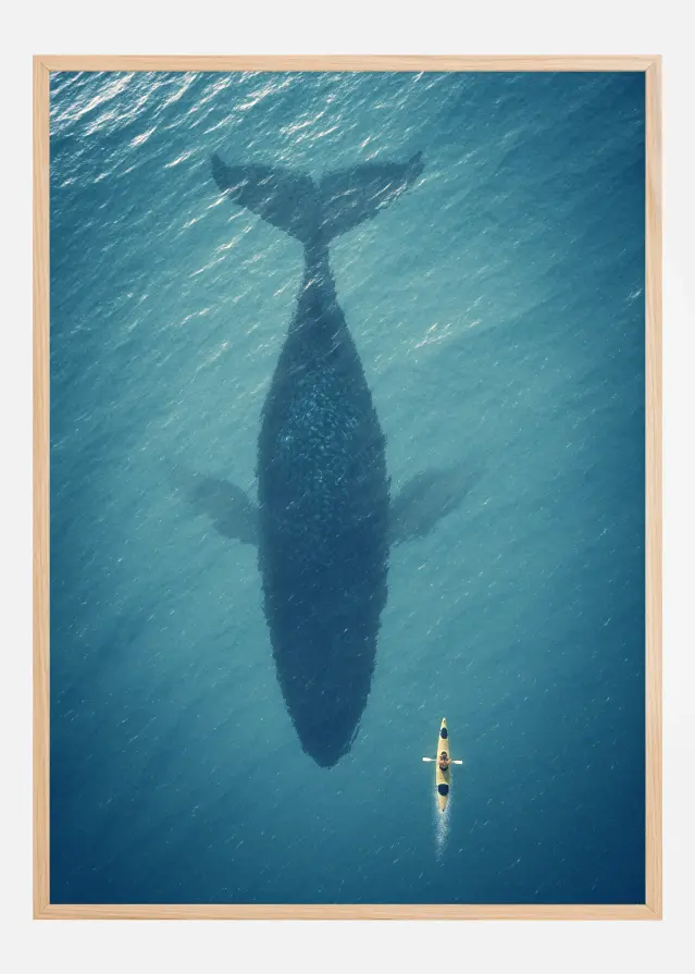 A Big Whale Αφίσα