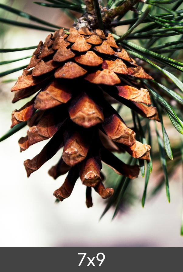 μεγέθυνση FineArt Bamboo 290 g