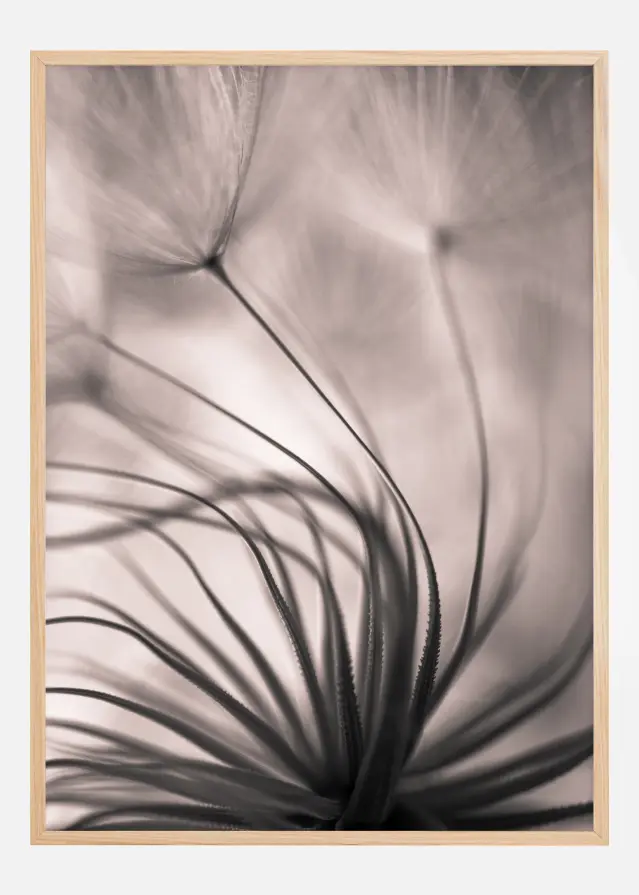 Faded Blurry Flower Αφίσα