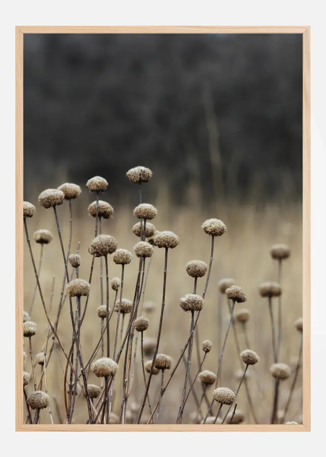 Beige Field Αφίσα