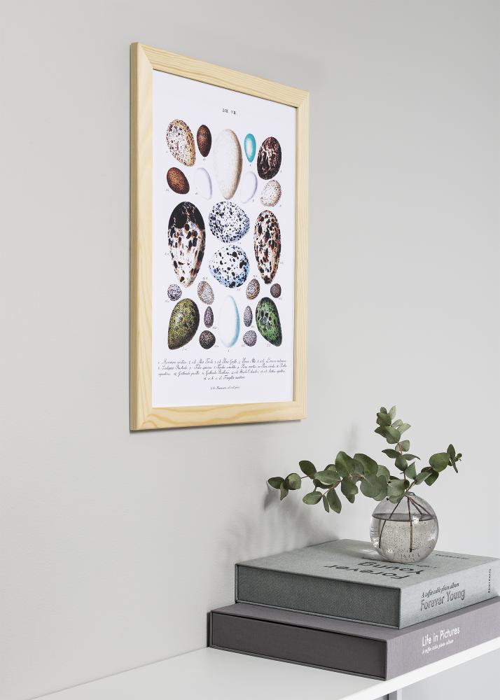 Πλαίσιο Trendline Nature 80x80 cm - Πασπαρτού Μαύρος 70x70 cm