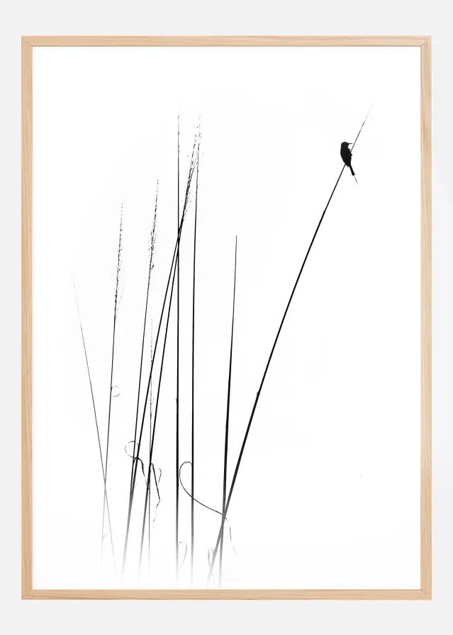 A sabbatical Αφίσα