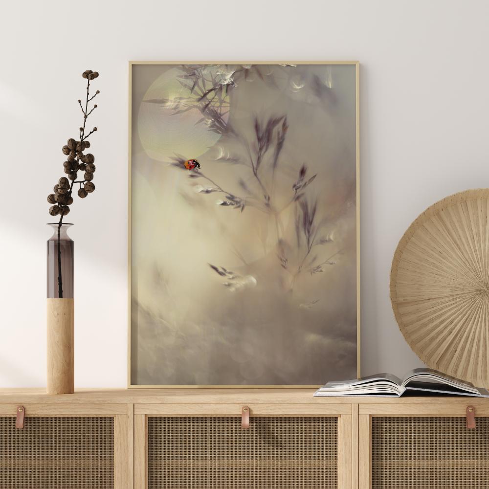 Little Lady Αφίσα