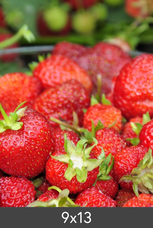 μεγέθυνση Πρότυπο Photo Glossy 290 g