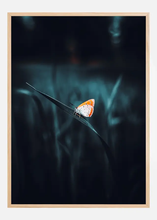 A Lonely Butterfly Αφίσα