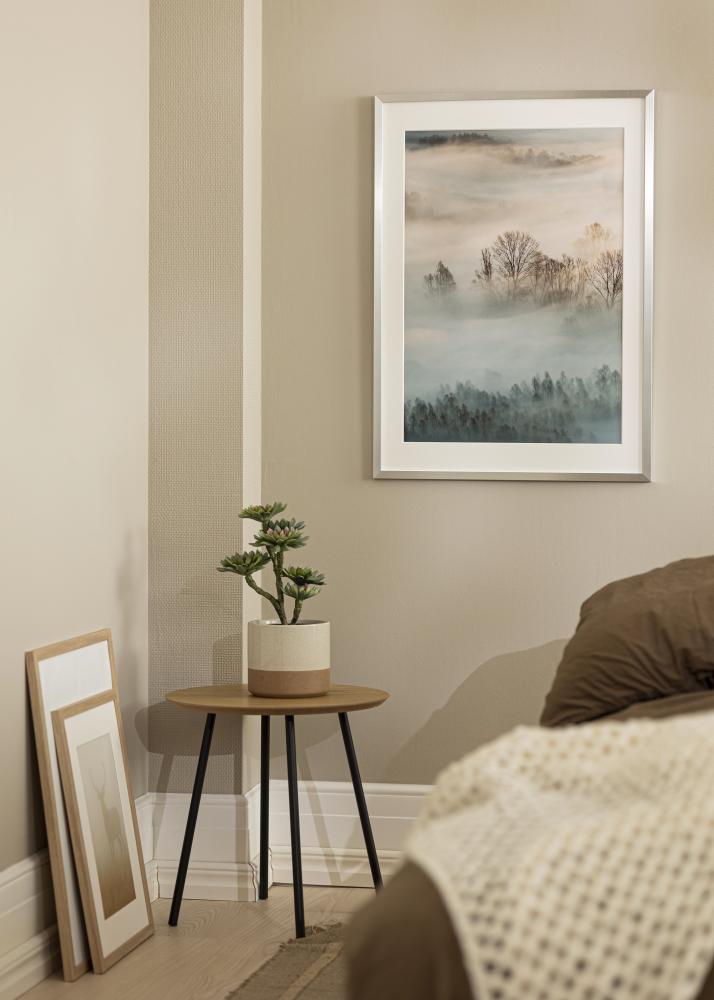 Πλαίσιο Trendy Ακρυλικό γυαλί Ασήμι 61x91,5 cm