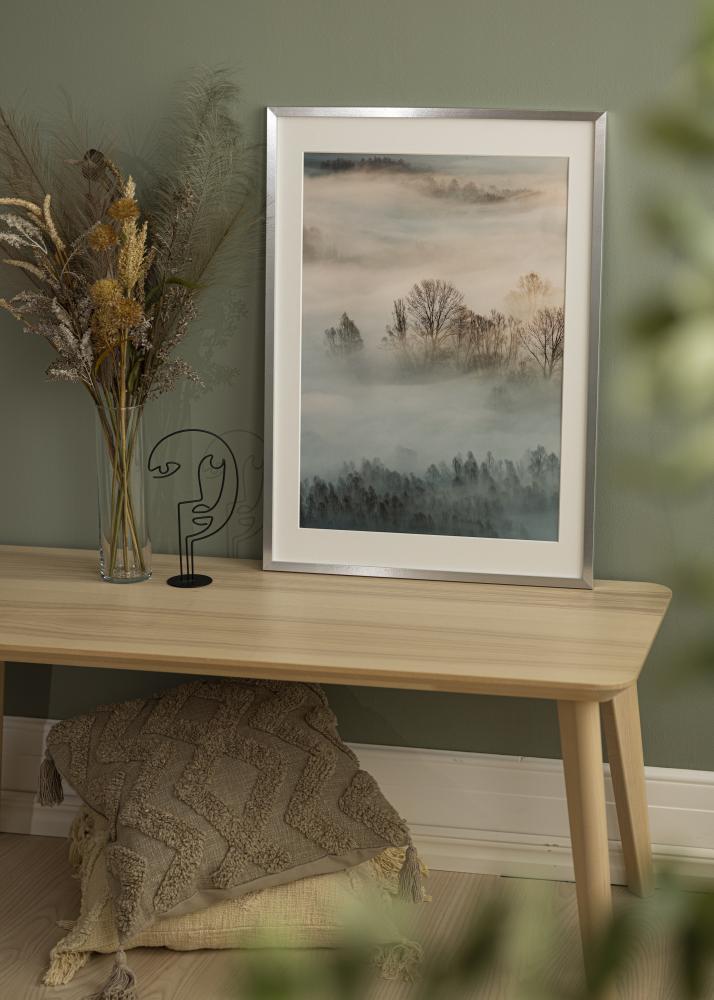 Πλαίσιο Trendy Ακρυλικό γυαλί Ασήμι 61x91,5 cm